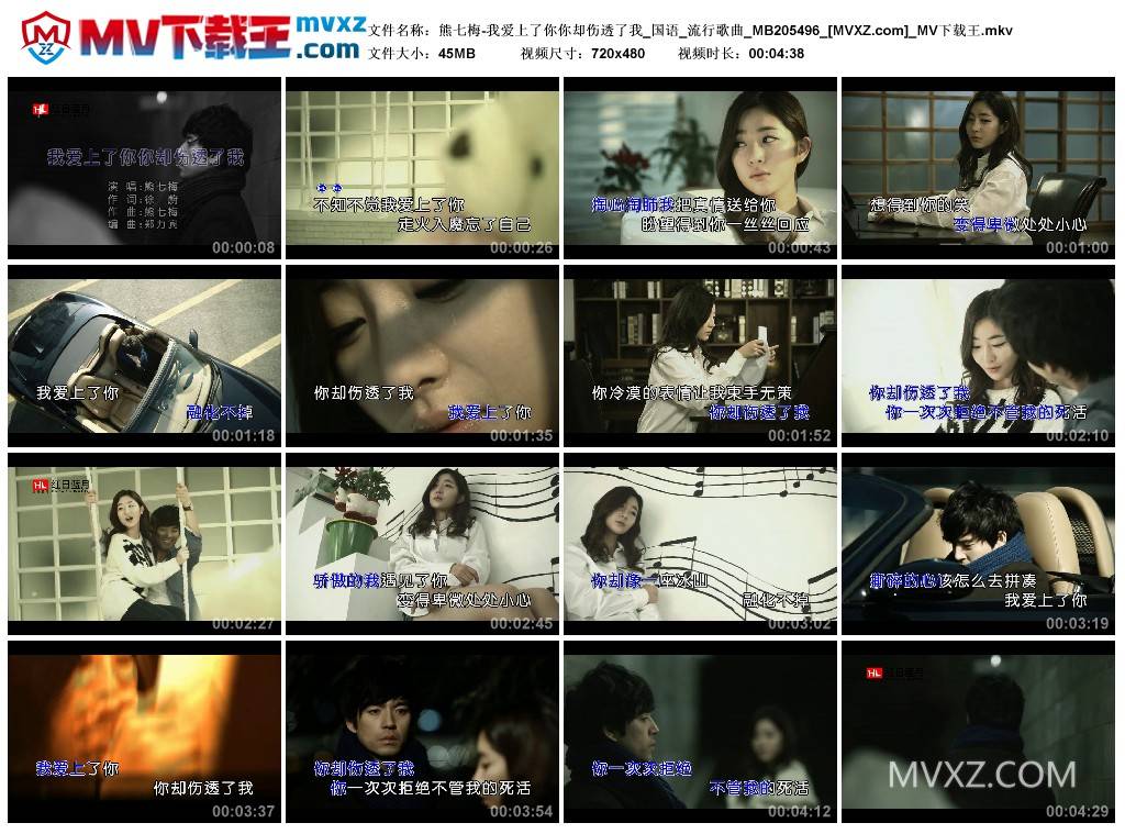 熊七梅-我爱上了你你却伤透了我_国语_流行歌曲_MB205496